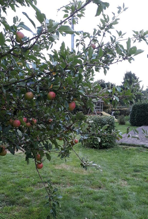 Villa Franzen Derenbach Esterno foto